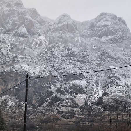 Aulos Studio Kültér fotó